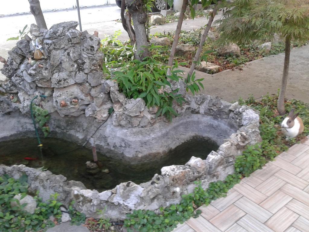 B&B William Padwa Zewnętrze zdjęcie